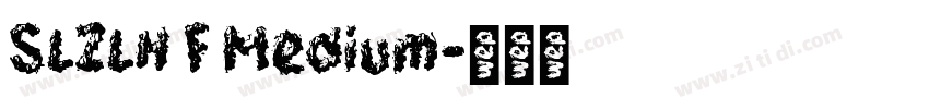 SLZLH F Medium字体转换